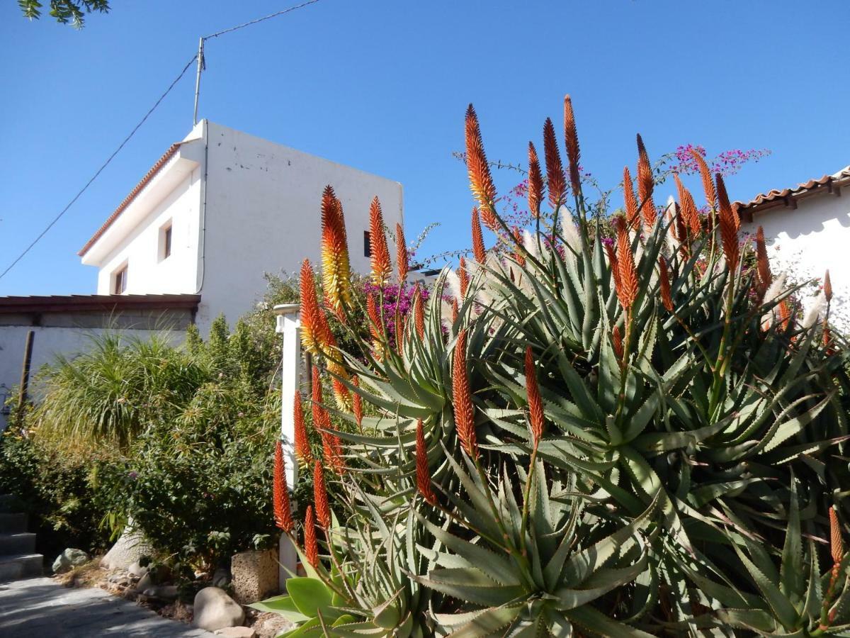 Finca Florida San Miguel de Abona Ngoại thất bức ảnh