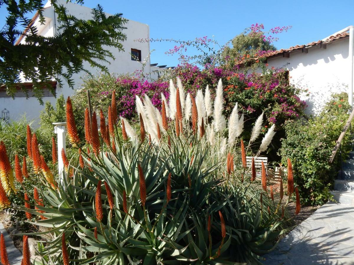 Finca Florida San Miguel de Abona Ngoại thất bức ảnh