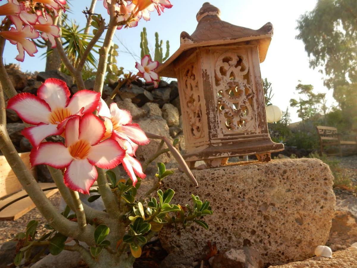 Finca Florida San Miguel de Abona Ngoại thất bức ảnh