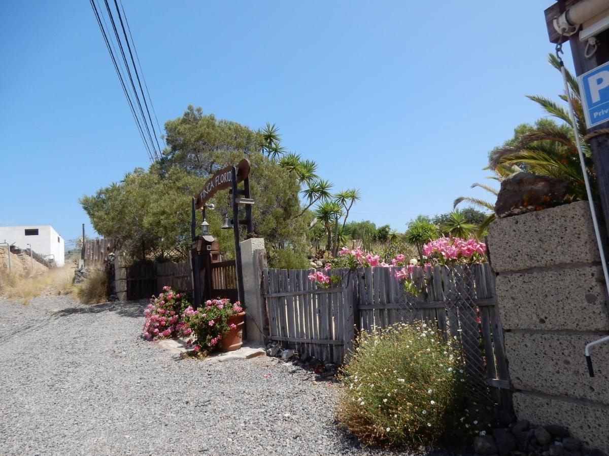 Finca Florida San Miguel de Abona Ngoại thất bức ảnh